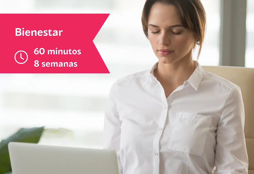 Programa de 8 semanas de mindfulness para organizaciones y reducción de estrés laboral